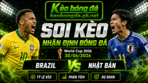 Đội hình dự kiến trước trận  Brazil và Nhật Bả