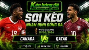 Đội hình dự kiến trước trận  Canada và Qatar