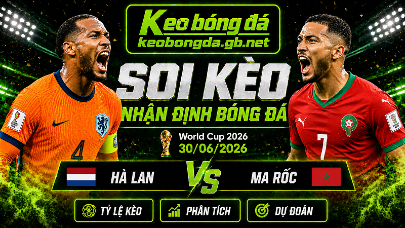 Đội hình dự kiến trước trận Hà Lan và Ma Rốc Đội hình dự kiến trước trận Hà Lan và Ma Rốc