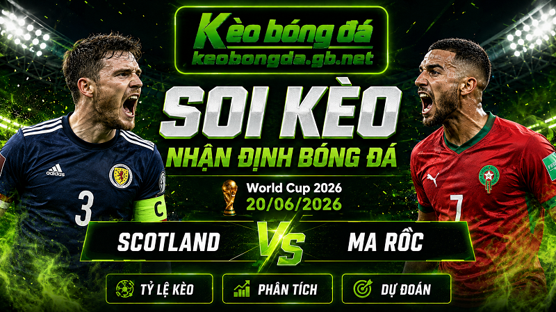 Đội hình dự kiến trước trận Scotland và Ma Rốc Đội hình dự kiến trước trận Scotland và Ma Rốc