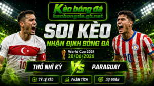 Đội hình dự kiến trước trận  Thổ Nhĩ Kỳ và Paraguay
