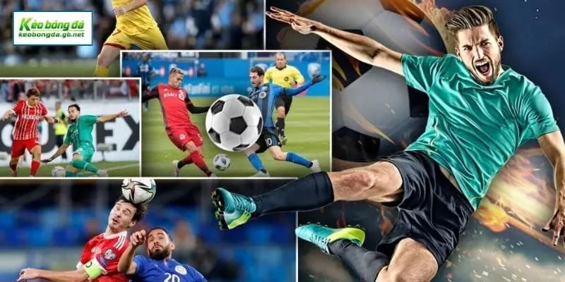 Hầu hết các bảng kèo nhà cái đều có sự biến động liên tục