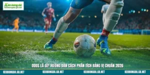 Odds Là Gì? Hướng Dẫn Cách Phân Tích Bảng Vị Chuẩn 2026