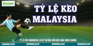 Tỷ Lệ Kèo Malaysia Là Gì? Hướng Dẫn Đọc Malay Odds Chuẩn