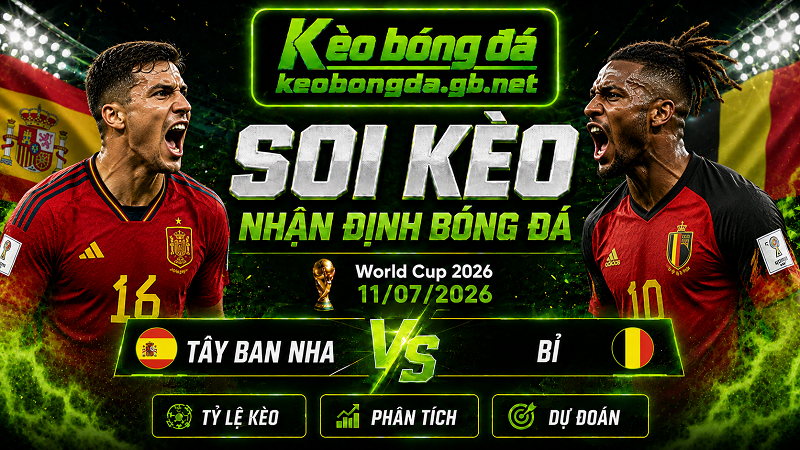 Đội hình dự kiến trước trận Tây Ban Nha và Bỉ Đội hình dự kiến trước trận Tây Ban Nha và Bỉ